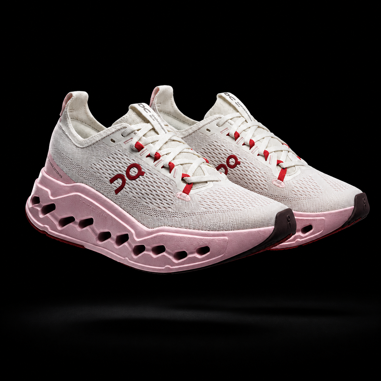 ON CloudSurfer Max's