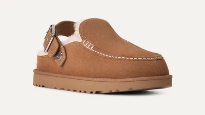 Eve Clogs